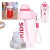 Kit Garrafa 660ml Squeeze Rosa com Ala e Canudo + 10 Cubos Gelo Reutilizvel Artificial