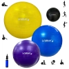 Kit 3 Bolas Suas 55cm + 65cm + 75cm + Overball 25cm Preta e Mini Bomba Pilates, Yoga e Treino
