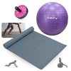 Kit Bola Sua Pilates Roxa 55 Cm + Colchonete 1,73 M + Rodinha Rosa Abdominal + Bomba Inflar Treino
