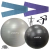Kit Bolas Suias Pilates Preta 65cm + Cinza 85cm + Bomba Inflar+ Faixas Elasticas 2 Tensoes+ Puxador