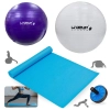Kit Bolas Suas Branca 65cm + Roxa 55cm + Rodinha Abdominal Azul+ Colchonete 1,73 M Academia Treino