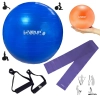 Kit Pilates Bola Sua 65cm + Faixa Elstica Mdia + Overball 25cm + Pegadores Treino Ginstica