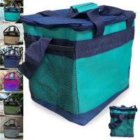 Bolsa Termica Aruba 13,5 Litros Colorida com Ala para Marmita Academia Passeios e Viagens