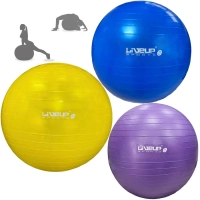 Kit Bolas Anti Estouro Pilates Roxa 55 Cm + Azul 65 Cm + Amarela 75 Cm + Bomba Inflar Academia Yoga