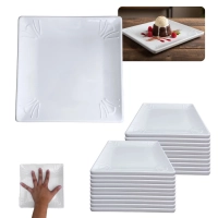 Kit 20 Pratos Quadrados Rasos 20 X 20 Cm Travessas para Sobremesa Por��o Pequena Restaurante Buffet