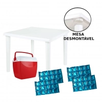 Kit Caixa Trmica 18 Lts com 4 Blocos de Gelo Reutilizvel + Mesa Desmontvel