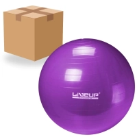 Caixa Master 10 Bolas Suias de 55 Cm para Pilates e Yoga Cor Roxa