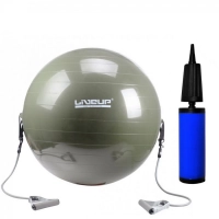 Bola para Pilates 65cm com Extensores + Mini Bomba de Inflar