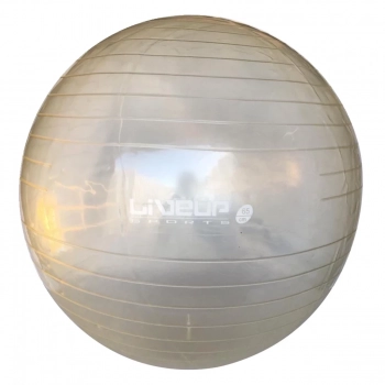 Kit 2 Bolas Sua para Pilates 65cm Transparente + Disco de Equilbrio