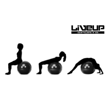 Bola Suia 65 Cm para Pilates e Yoga Premium Anti Estouro Cor Preto