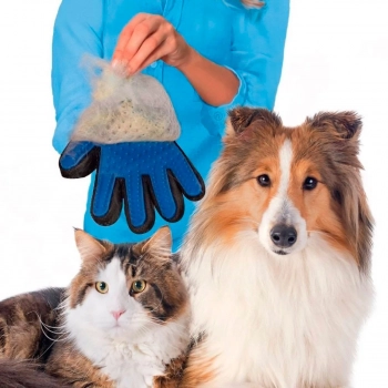 Kit para Gatos com Luva para Tirar Pelos + Escova Massageadora Azul