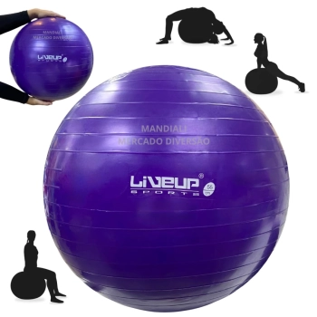 Kit Bola Suia 55 Cm + Bomba + Kit Faixa Elstica + Pegadores