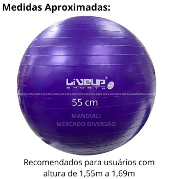 Bola Suia de Pilates 55 Cm Roxa Treino Pilates Ginastica Academia Yoga Exercicios