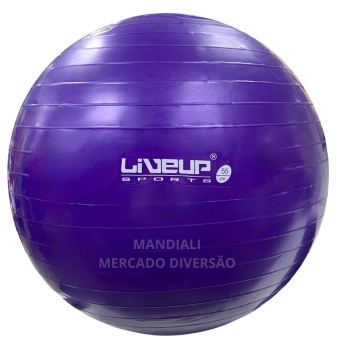 Bola Suia de Pilates 55 Cm Roxa Treino Pilates Ginastica Academia Yoga Exercicios