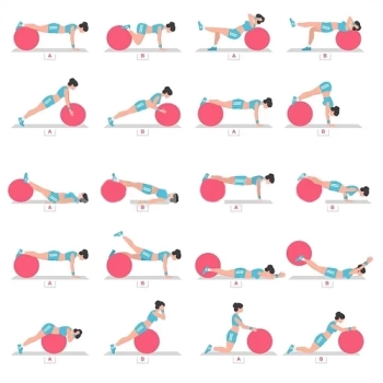 Bola Suia 65 Cm + 2 Mini Bands + Faixa Elstica + Overball