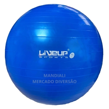 Bola Suia de Pilates 65 Cm Azul Treino Pilates Ginastica Academia Yoga Exercicios