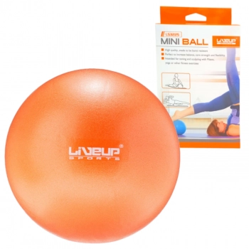 5 Bolas Overball Mini Bola para Pilates 25cm Laranja