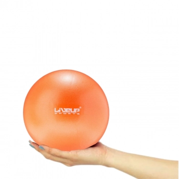 5 Bolas Overball Mini Bola para Pilates 25cm Laranja