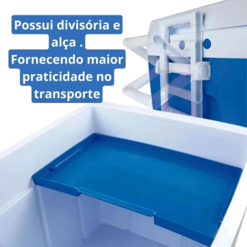 Kit Praia / Pesca Caixa Termica 75 L Ala e Divisria Azul + Guarda Sol Bagum 1,60 M