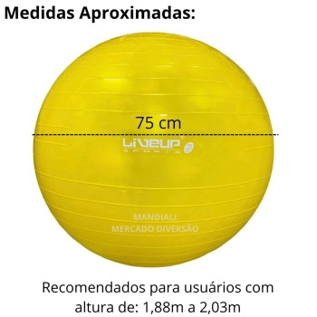 Bola Suia de Pilates 75 Cm Amarela Treino Pilates Ginastica Academia Yoga Exercicios