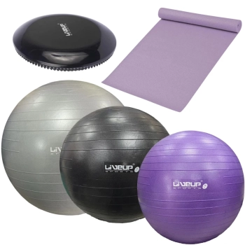 Kit Bolas Yoga Roxa 55cm + Preta 65cm + Cinza 85cm + Tapete 1,73m + Disco Equilbrio + Bomba Inflar