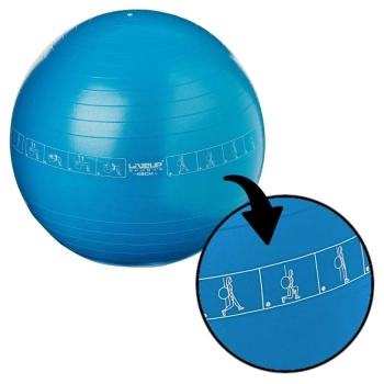 Bola Pilates Suia 65 Cm com Ilustrao de Exerccios Cor Azul