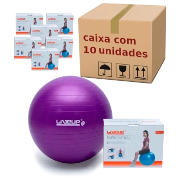 Caixa Master 10 Bolas Suias de 55 Cm para Pilates e Yoga Cor Roxa