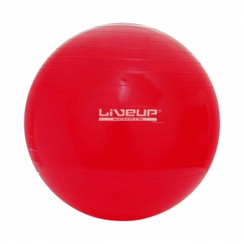 Bola Sua Premium 45 Cm Vermelha + Mini Bomba de Inflar